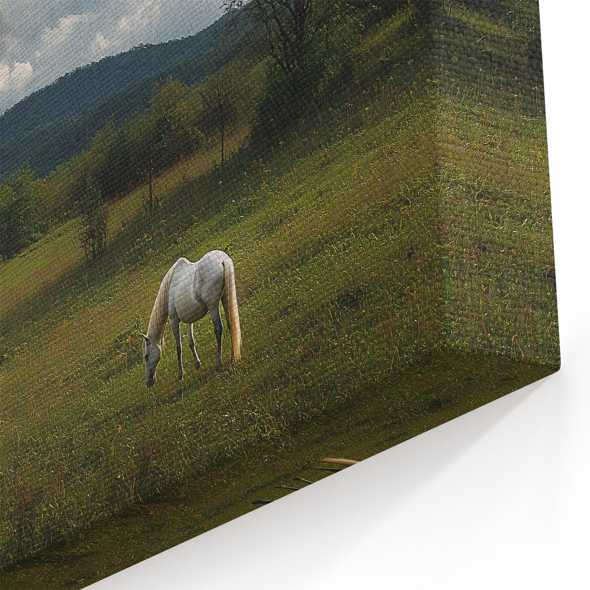 Crimson Fields at Sunset Wall Art – Vibrant Countryside Canvas Print