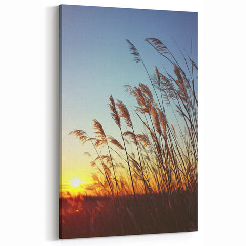 Sunlit Grasses at Sunset Wall Art – Serene Countryside Canvas Print