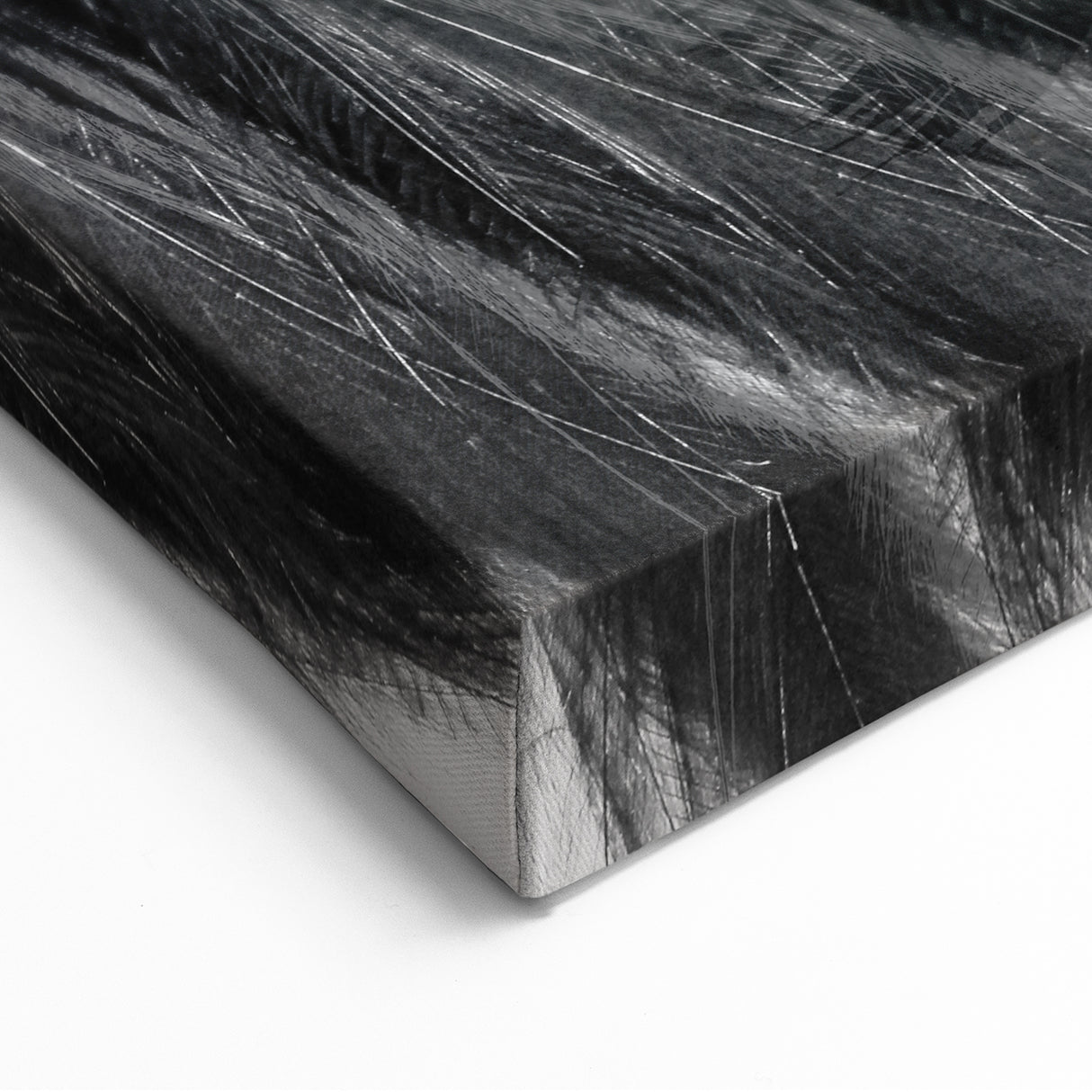 Modern Figurative Wall Art - Black and White Abstract Elegance