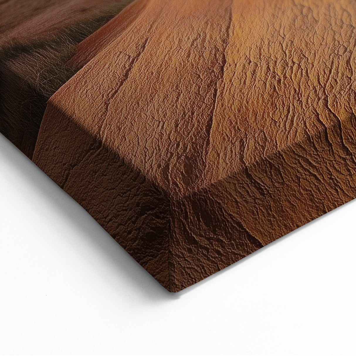 Golden Desert Wall Art - Stunning Southwestern Desert Canvas Prints