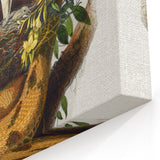 Romanticism Art: "Northern Mockingbird & Snake" Wildlife Canvas Print