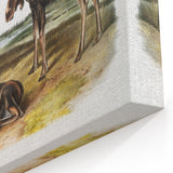 Romanticism Art: "Moose Deer" Wildlife Illustration Canvas Print