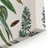 Romanticism Art: "Caterpillars and Chrysalis" Botanical Canvas Print
