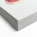 Common Fig Botanical Art - Romanticism Print by Giorgio Gallesio