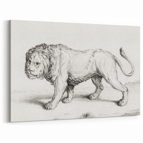 Lion Sketch by Jean Bernard - Romanticism Black and White Wall Art