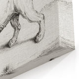 Lion Sketch by Jean Bernard - Romanticism Black and White Wall Art