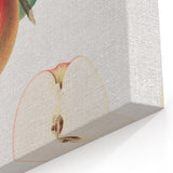 Romantic Art Prints: Apple Illustration from Pomona Italiana