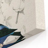 Romantic Art Prints: Vibrant Hummingbirds by Charles Dessalines d'Orbigny