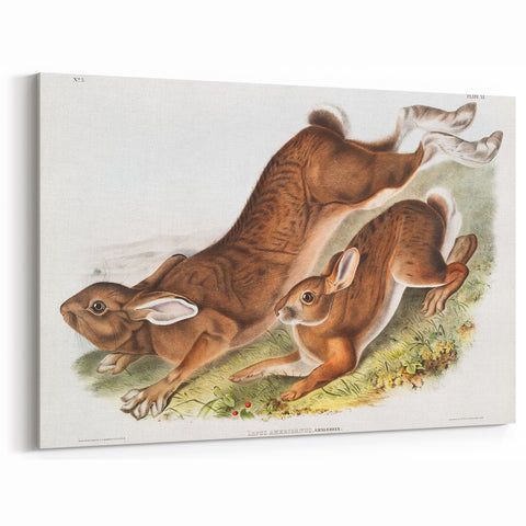 Romanticism Art: Northern Hares - Classic Romantic Wildlife Canvas