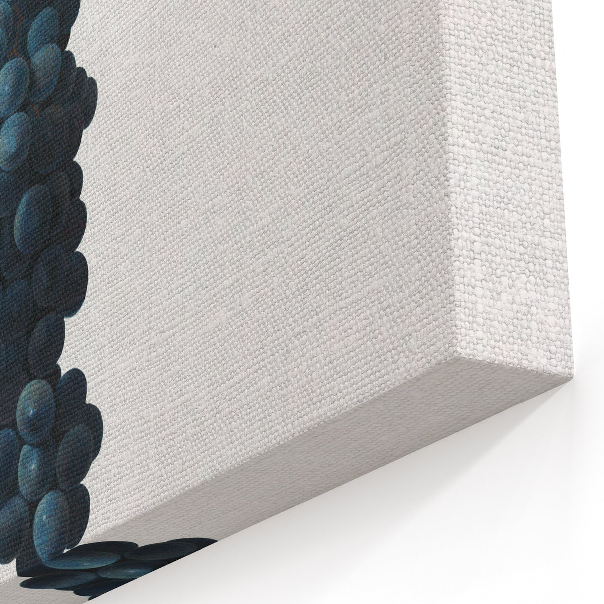 Romanticism Art: Grape Vine by Gallesio - Botanical Canvas Print