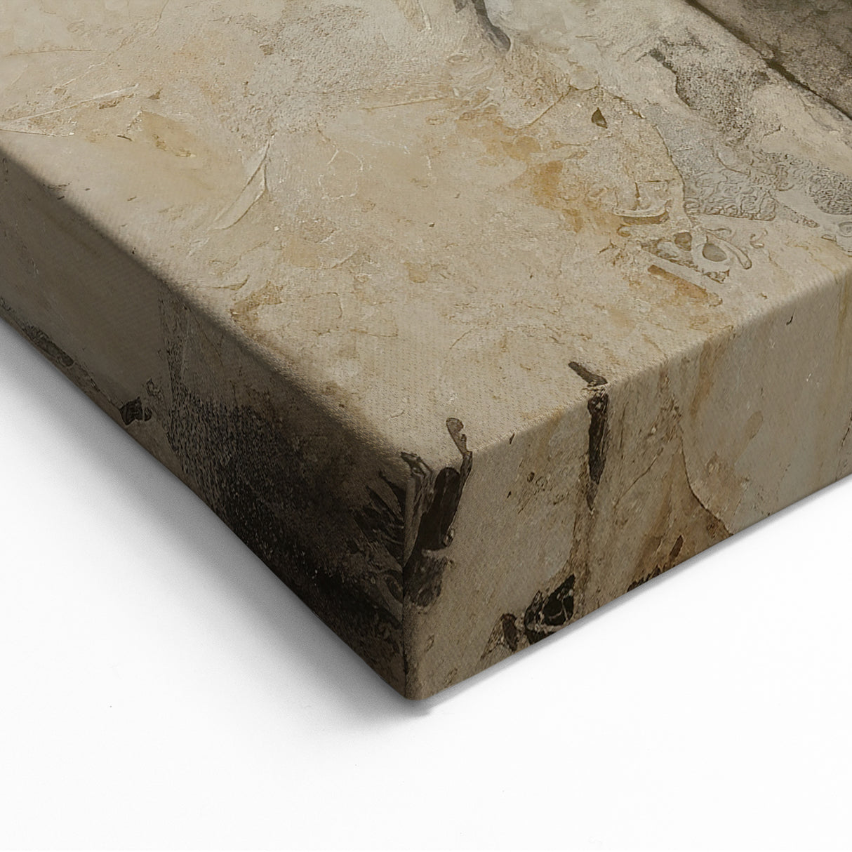 Modern Floral Abstract Canvas Art – Artistic Botanical Wall Décor