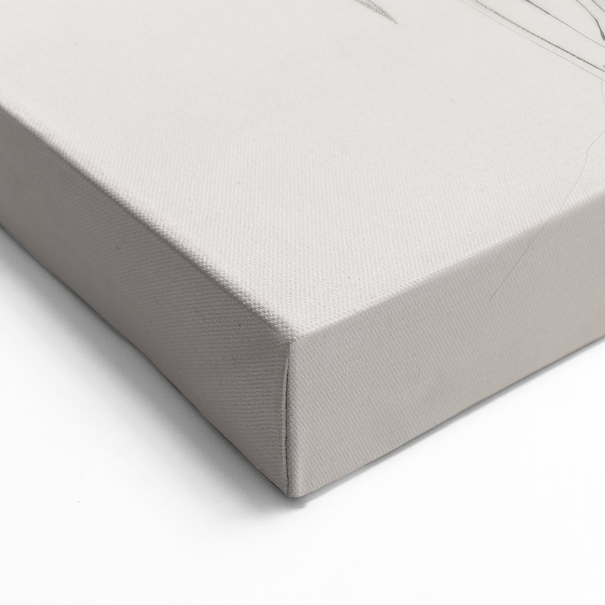 Minimalist Black-and-White Floral Sketch – Elegant Botanical Canvas