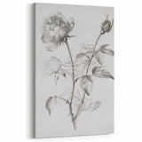 Timeless Black-and-White Rose Sketch – Elegant Botanical Canvas