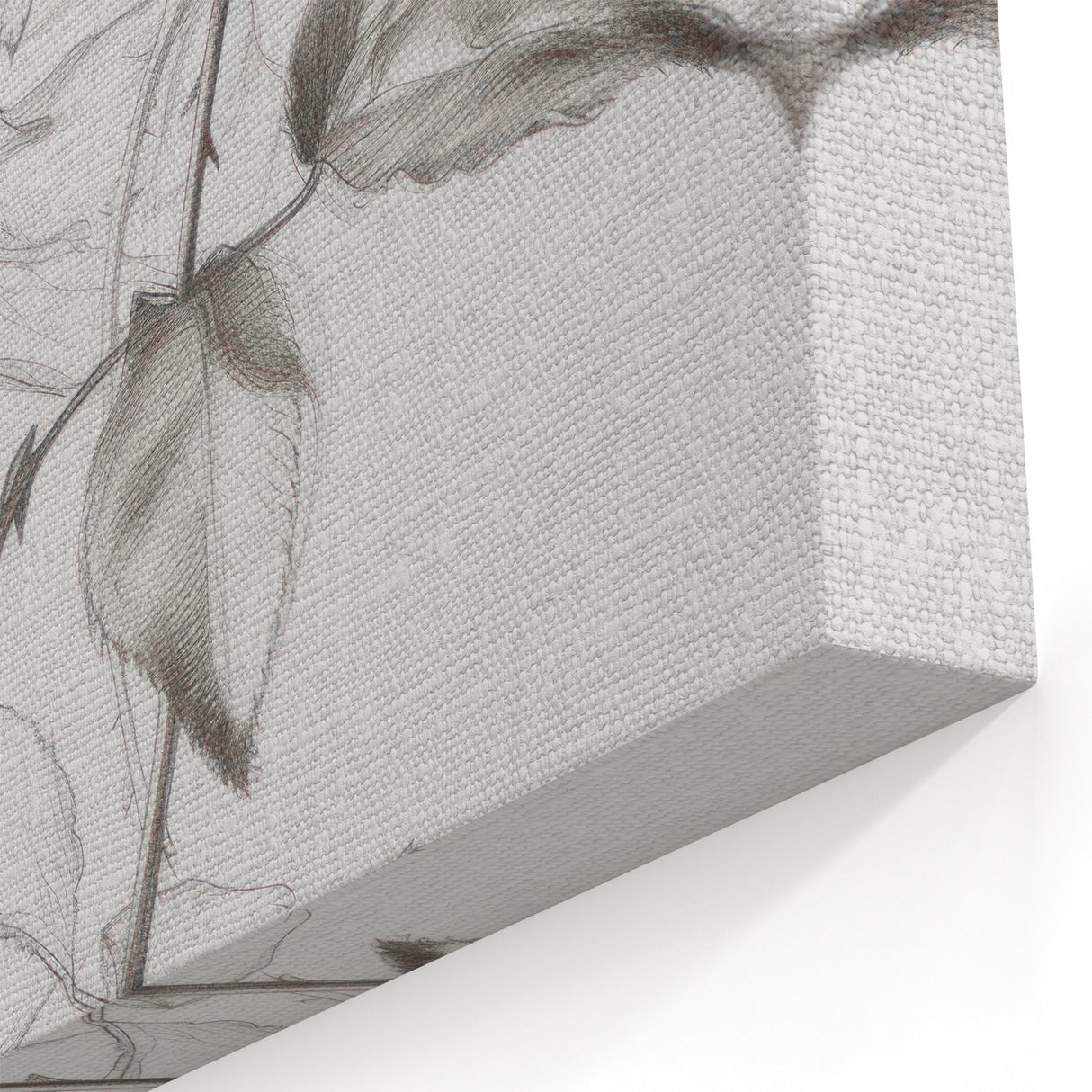 Timeless Black-and-White Rose Sketch – Elegant Botanical Canvas