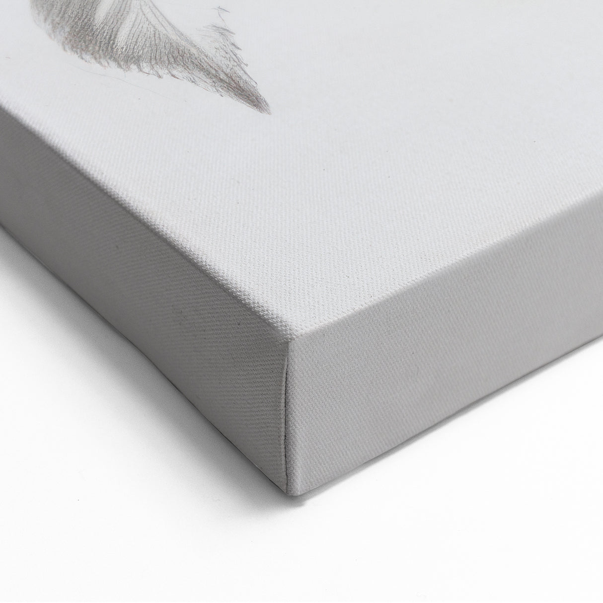 Timeless Black-and-White Rose Sketch – Elegant Botanical Canvas