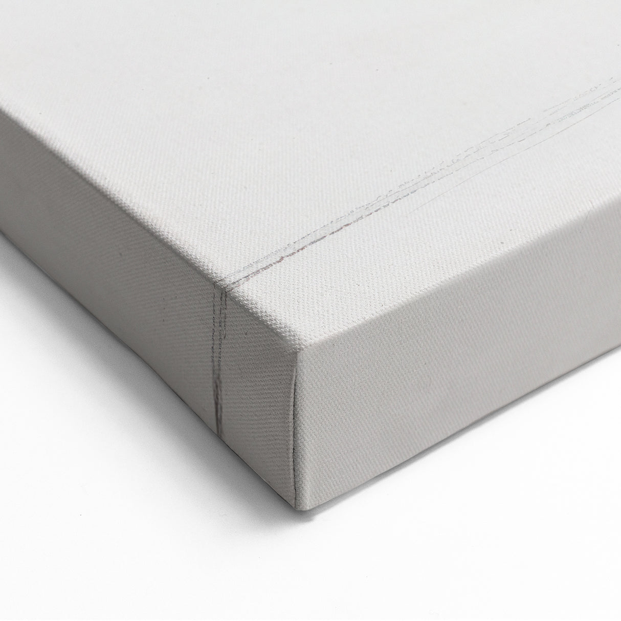 Contemporary Flower Sketch - Black and White Abstract Botanical Art