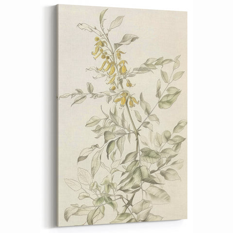 Botanical Line Art - Elegant Yellow Flowers and Leaves on Canvas