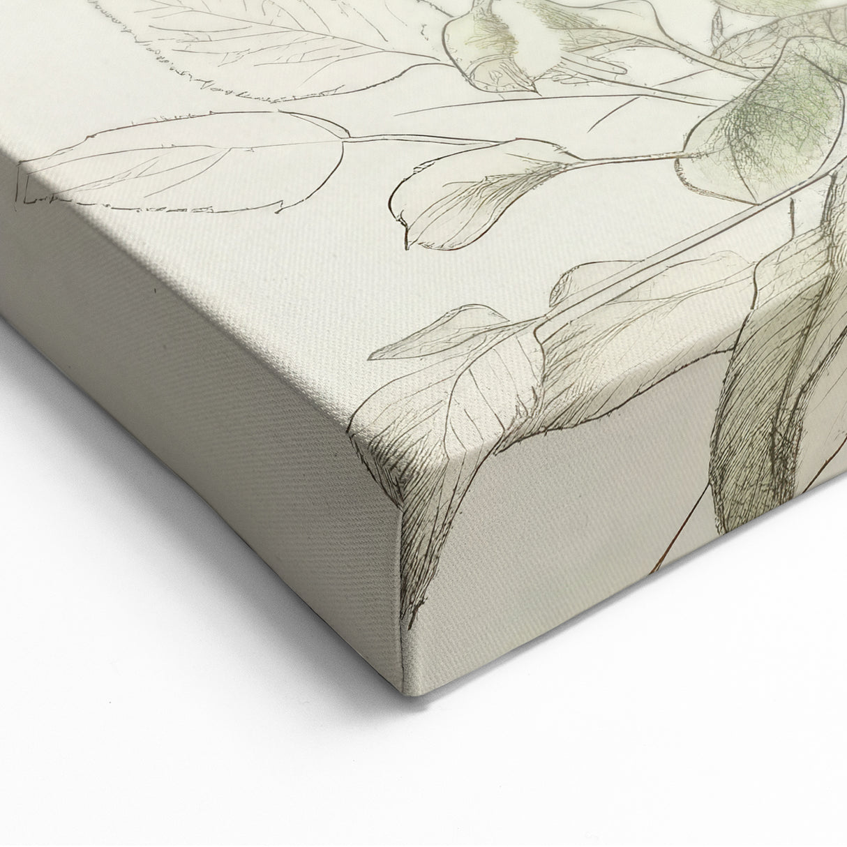 Botanical Line Art - Elegant Yellow Flowers and Leaves on Canvas