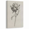 Minimalist Artichoke Sketch - Black and White Botanical Canvas Art