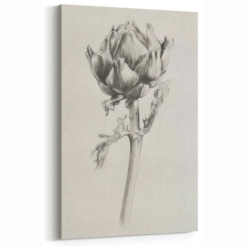 Minimalist Artichoke Sketch - Black and White Botanical Canvas Art