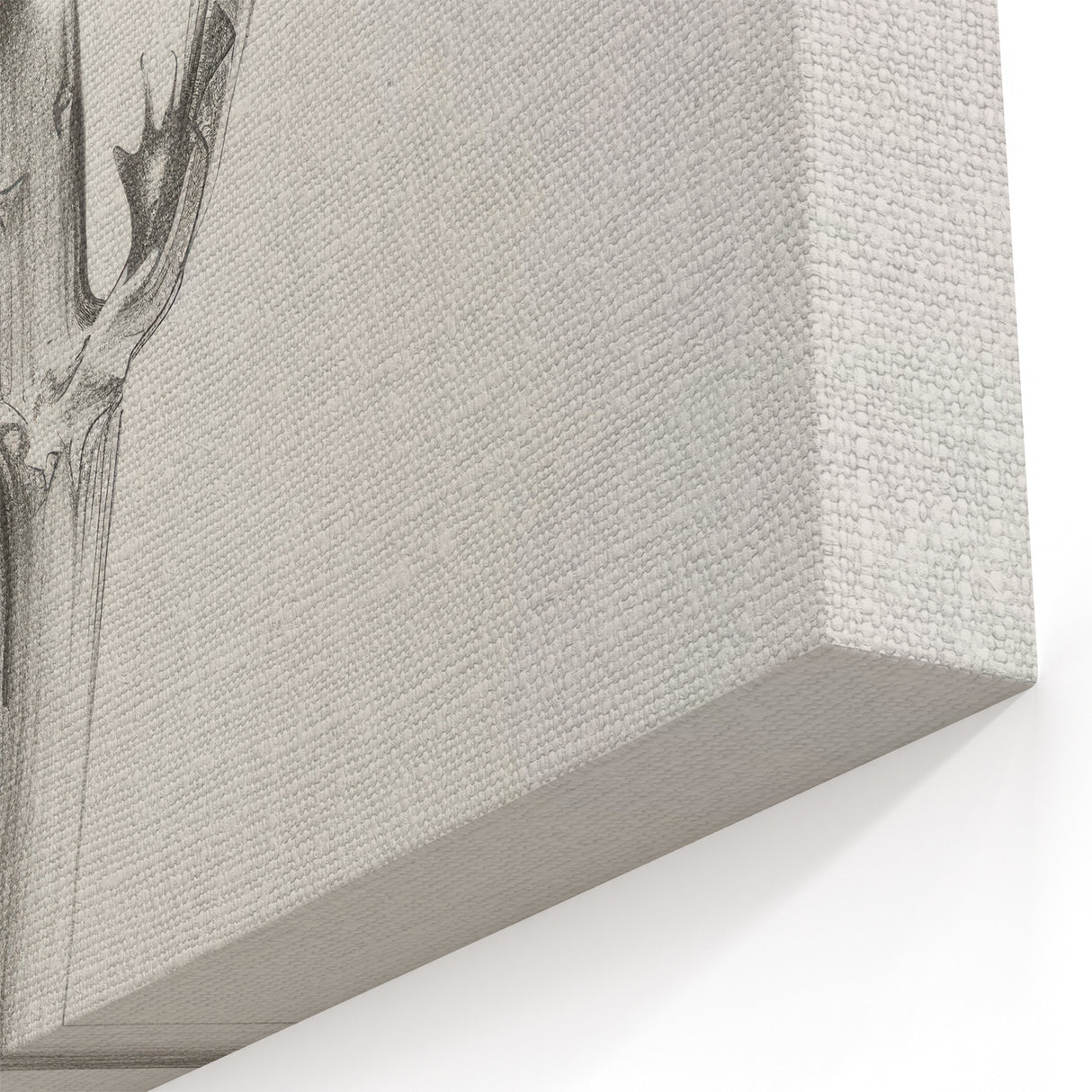 Minimalist Artichoke Sketch - Black and White Botanical Canvas Art