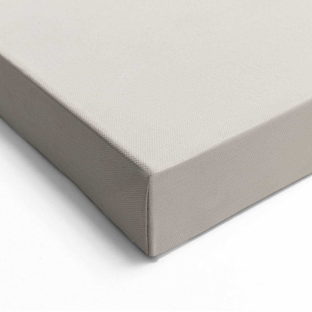 Minimalist Artichoke Sketch - Black and White Botanical Canvas Art