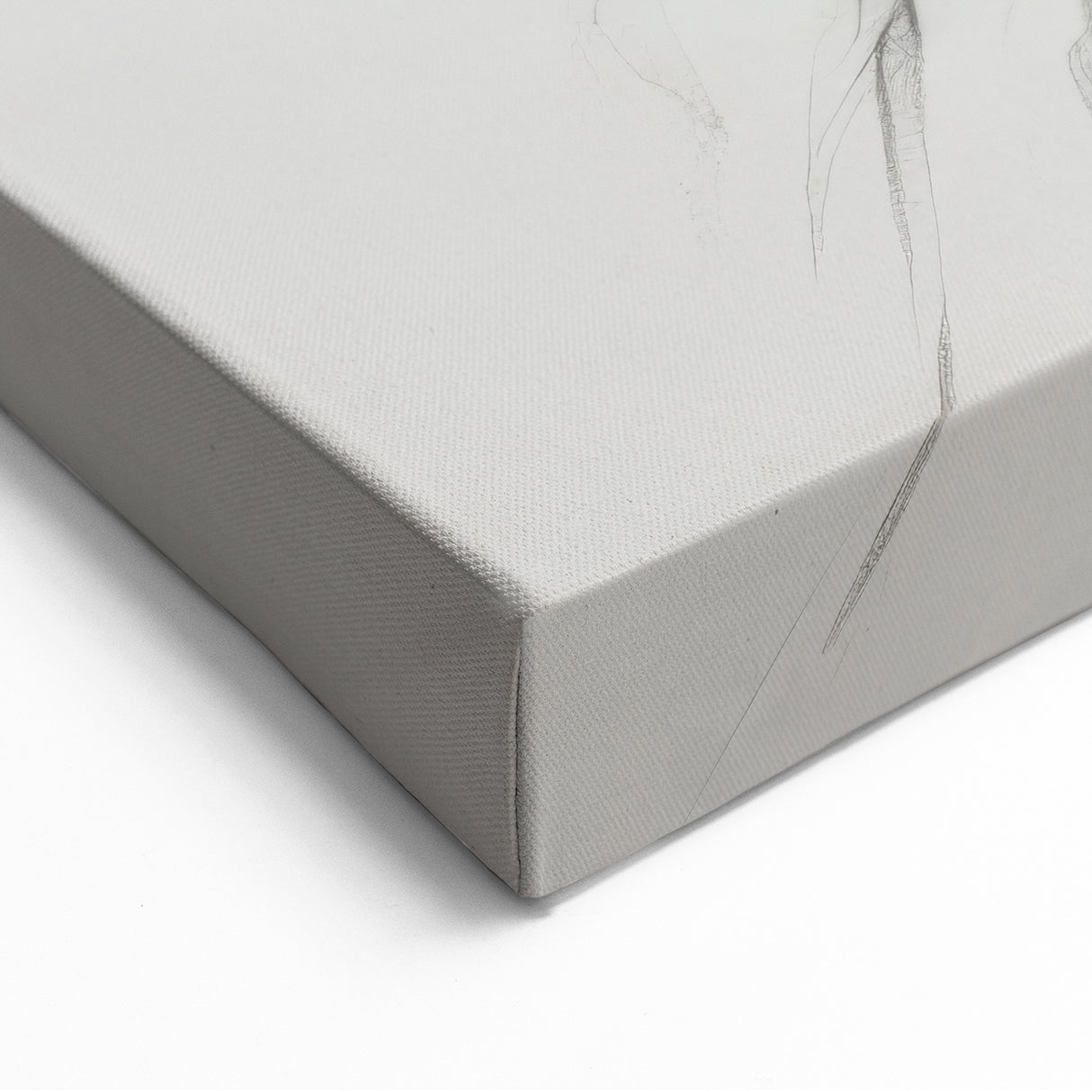 Delicate Floral Sketch - Black and White Botanical Line Art on Canvas