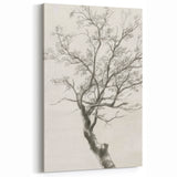 Minimalist Tree Sketch - Black and White Botanical Line Art on Canvas