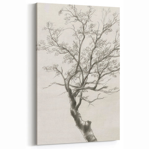 Minimalist Tree Sketch - Black and White Botanical Line Art on Canvas