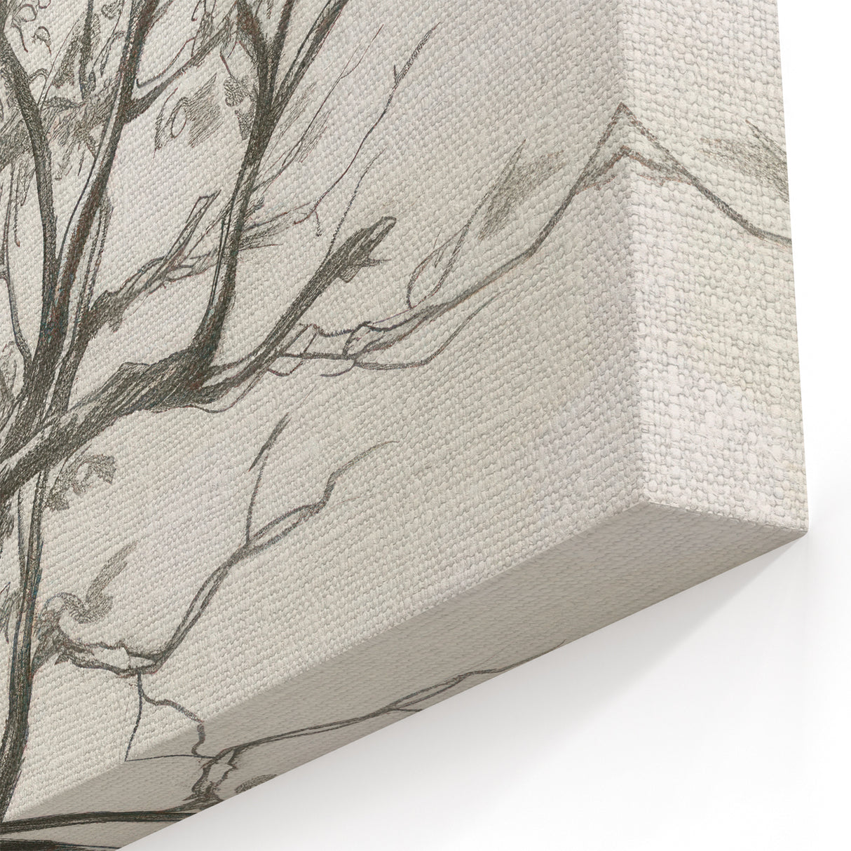 Minimalist Tree Sketch - Black and White Botanical Line Art on Canvas