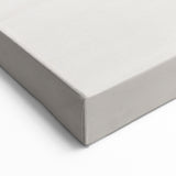 Minimalist Tree Sketch - Black and White Botanical Line Art on Canvas