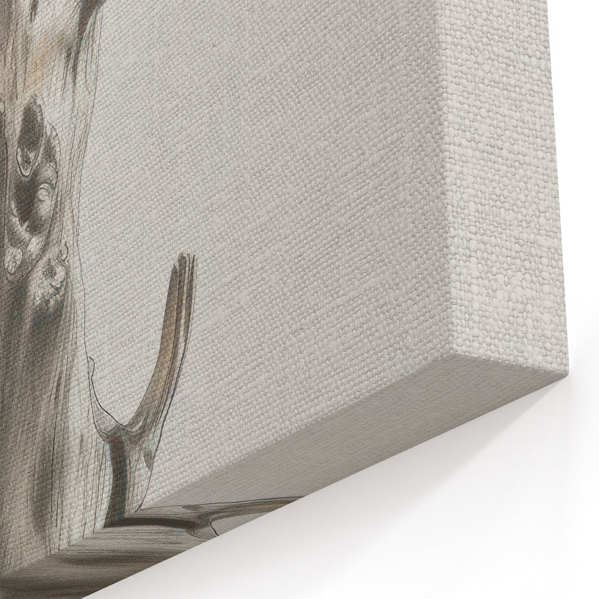 Abstract Botanical Prints - Modern Floral Wall Art on Canvas