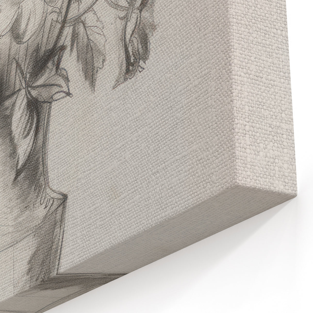 Contemporary Flower Prints - Artistic Floral Wall Art on Canvas