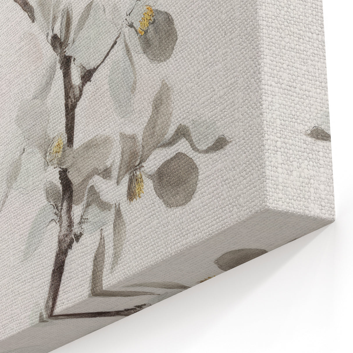 Abstract Botanical Art - Delicate Magnolia Blooms on Canvas