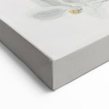 Abstract Botanical Art - Delicate Magnolia Blooms on Canvas