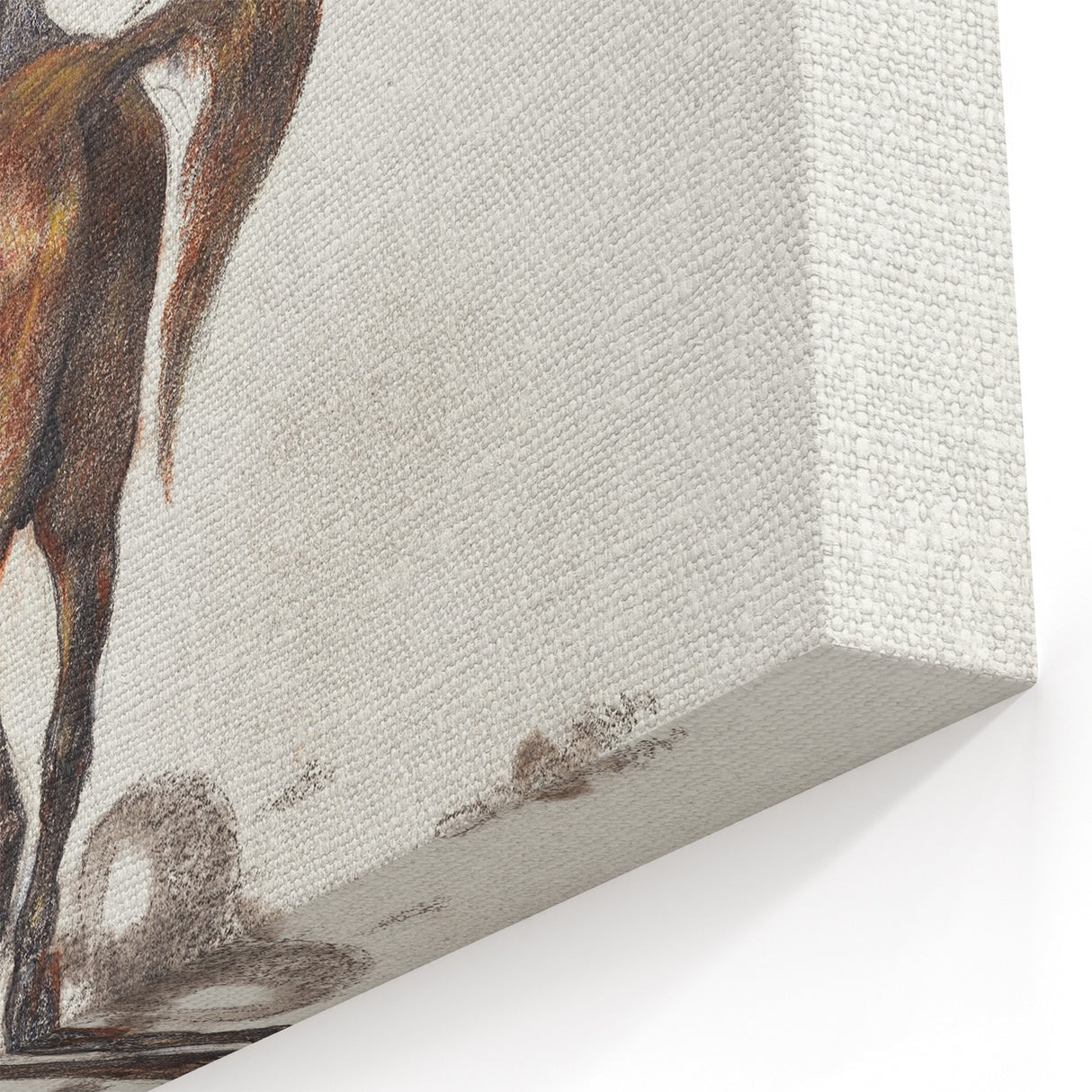 Modern Circus Horse Wall Art - Abstract Contemporary Art Prints