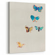 Modern Butterfly Artwork - Abstract Colorful Contemporary Wall Art