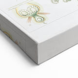 Ernst Haeckel’s Bryozoa - Elegant Nature Illustration Wall Art