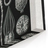 Modern Wall Art - Intricate Black and White Cystoidea Design