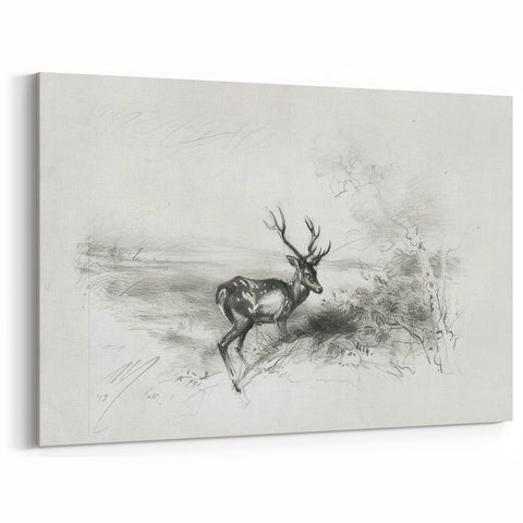 Majestic Deer Sketch - Monochrome Canvas Prints for Elegant Decor