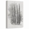 Cypress Tree Sketch - Minimalist Monochrome Canvas Prints
