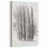 Cypress Tree Sketch - Minimalist Monochrome Canvas Prints