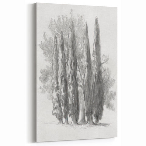Cypress Tree Sketch - Minimalist Monochrome Canvas Prints