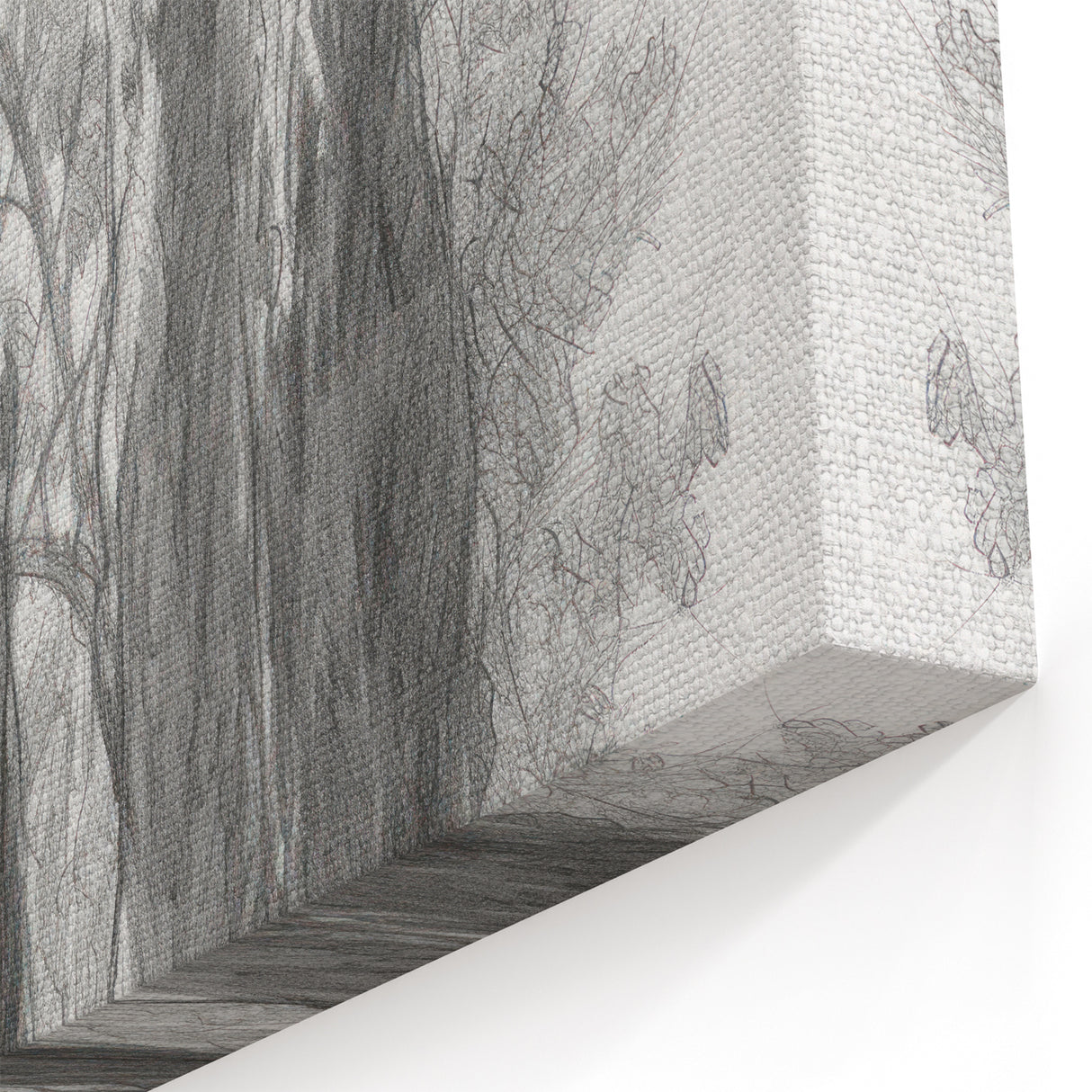 Cypress Tree Sketch - Minimalist Monochrome Canvas Prints