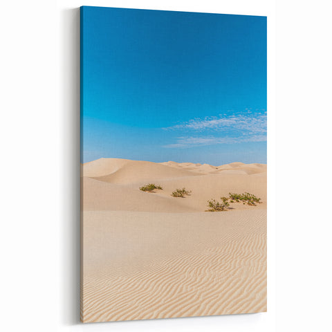 Scenic Dune Photography - Sunny Sand Dunes Under a Clear Blue Sky