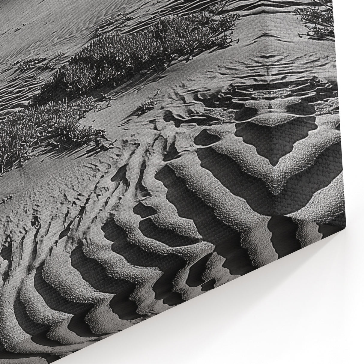 Dune Wall Art - Black and White Coastal Rock with Textured Sands