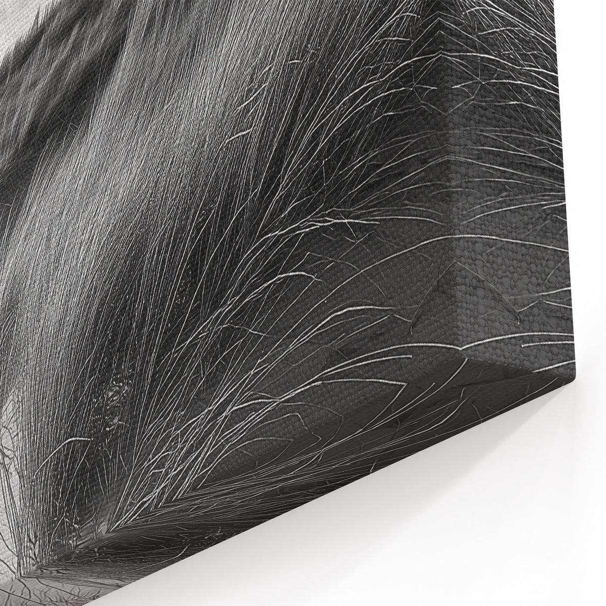 Dune Wall Art - Scenic Black and White Coastal Photography