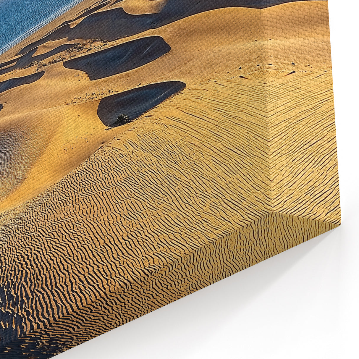 Coastal Dune Art - Scenic Dune Photography by the Ocean
