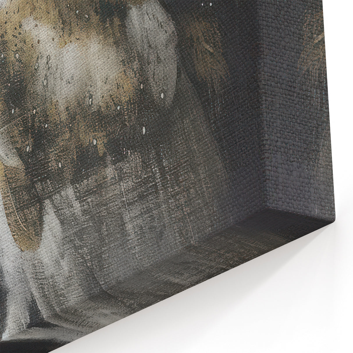 Elegant Barn Owl Wildlife Art - Animal Canvas Prints for Home Decor