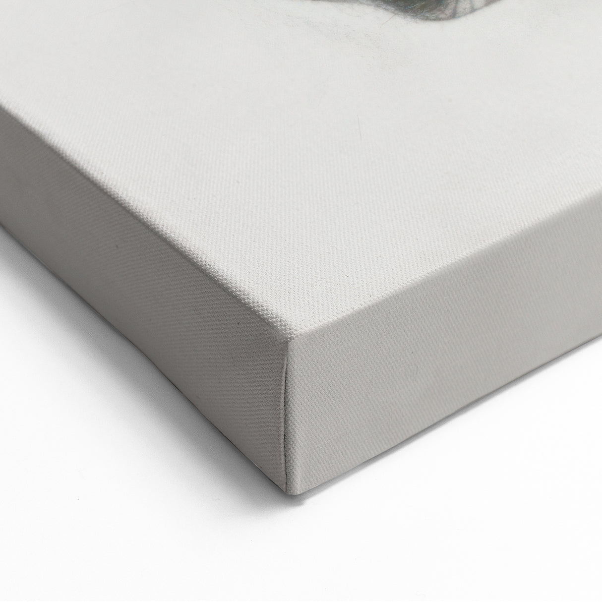 Majestic Horse Portrait - Animal Canvas Prints for Home Decor